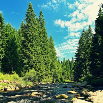 Beautiful river with stones and trees in the mountains with forest. Nature - landscape. Background with blue sky and sun - Vydra river in Sumava, Czech Republic.