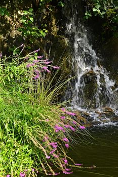 Beautiful small waterfall with a rock in nature. Brno castle Spilberk.