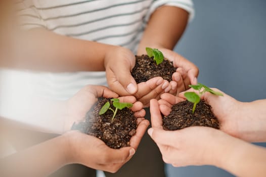 We all have to start somewhere. Cropped shot of an unrecognizable group of businesswomen holding plants growing out of soil inside an office