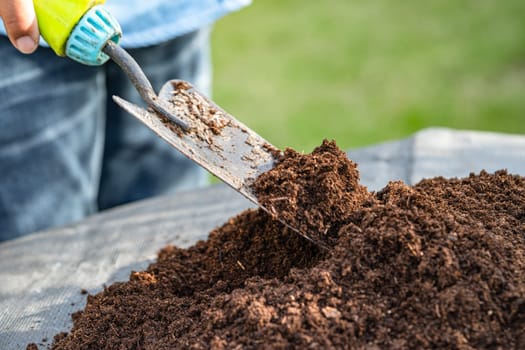 Gardener woman holding peat moss organic matter improve soil for agriculture organic plant growing, ecology concept.