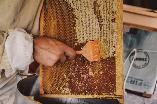 Extracting honey from honeycomb concept. Close up view of beekeeper cutting wax lids with hot knife from honeycomb for honey extraction. download photo