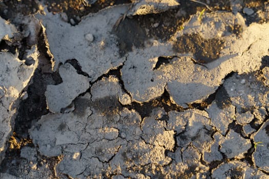 Dry and cracked soil after drought. Climate change concept. Texture of dry soil.