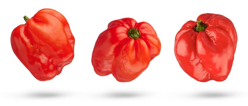 Flying peppers. Habanero peppers on a white isolated background. Peppers from different sides casts a shadow on a white background close-up. Pepper isolate. High quality photo