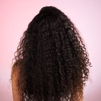Woman, back and healthy hair in studio for wellness, cosmetics and growth by pink background. Girl, model and natural coil with balayage, shine and clean glow with texture, results or transformation.