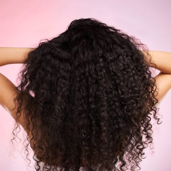 Hair, beauty and back of person with hairstyle transformation and curly texture. Model, salon treatment and haircut shine in a studio with pink background and cosmetics with keratin and growth care.
