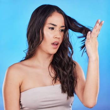 Hair, problem and woman with worry or damage in blue studio background with mistake or spilt ends. Haircare, cosmetics and girl with keratin treatment for dry texture or fail with growth for repair