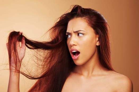 Damaged, hair and a woman upset in studio about salon, split end and hairdresser treatment. Stress, disaster and shocked model person with dry texture or hairstyle crisis on a brown background.