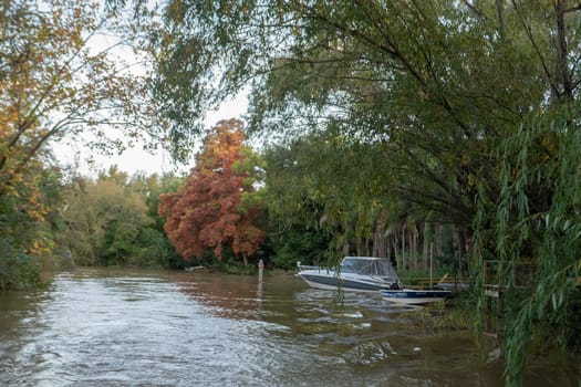 San Fernando, Buenos Aires, Argentina : 2023 May 18 : Afternoon on the Lujan river in the Tigre Delta in Buenos Aires, Argentina in 2023.