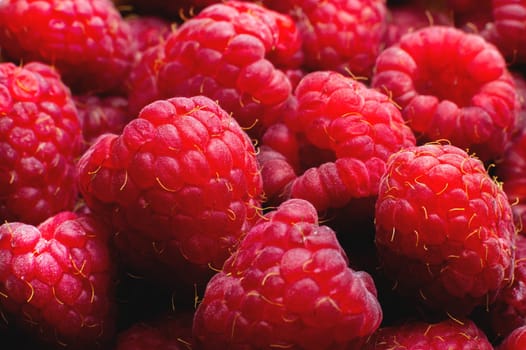 Close up, bunch of fresh, ripe red raspberries. Macro of a red raspberry. Texture is raspberry.