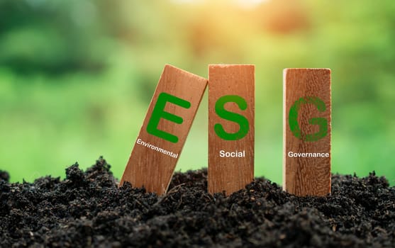 ESG concept for environment, society and governance in sustainable. business responsible environmental.