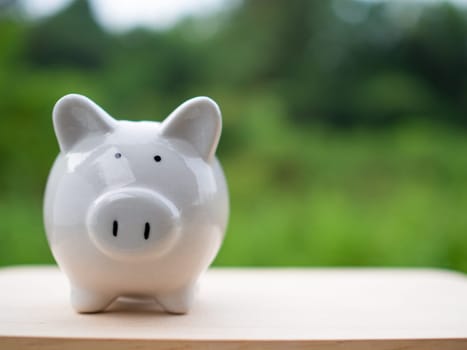 white piggy bank on a nature background. Savings and investment concepts.