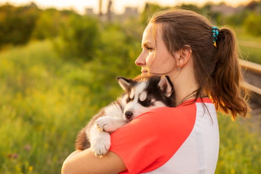 Young woman in a T-shirt hugs a husky puppy at sunset outdoors. The relationship between dog and owner.