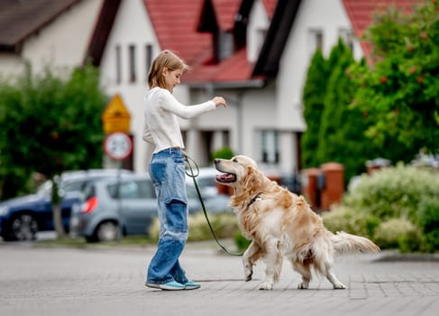 Preteen girl teaching golden retriever dog walking at city street. Pretty child kid with purebred pet doggy outdoors