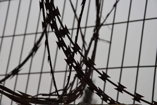 Metal protective wire along the fence. Jerusalem, Israel March 27, 2021. High quality photo