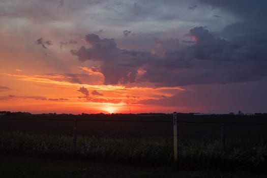 Bright Orange sunrise over Nebraska corn field . High quality photo