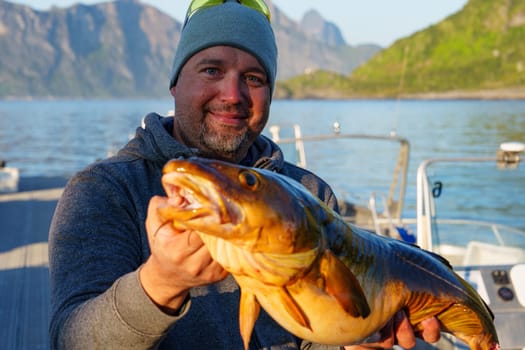 Fisherman with big cod fish. A Norwegian fisherman has caught a large Cod fish in Norwegian Fjord islands