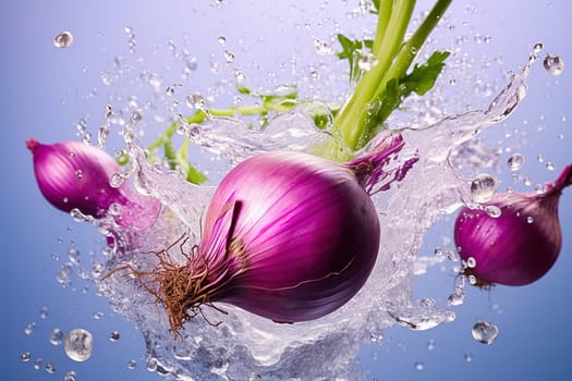 Red onion variety with water splashes on a blue background. High quality photo
