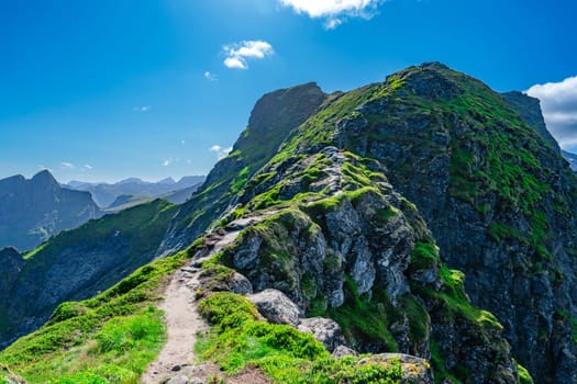 Hiking trail to top of mountain in Reine region, Lofoten islands, Norway. Beautiful Nature Norway natural landscape aerial photography