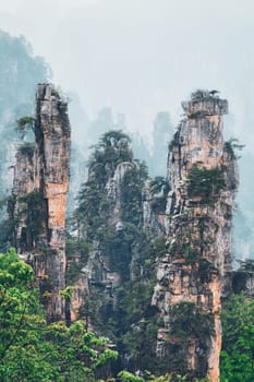 Famous tourist attraction of China - Zhangjiajie stone pillars cliff mountains in fog clouds at Wulingyuan, Hunan, China