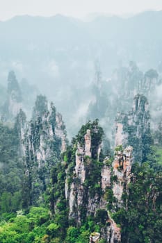 Famous tourist attraction of China - Zhangjiajie stone pillars cliff mountains in fog clouds at Wulingyuan, Hunan, China