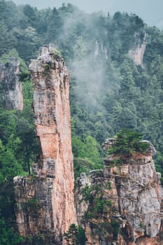 Famous tourist attraction of China - Zhangjiajie stone pillars cliff mountains in fog clouds at Wulingyuan, Hunan, China