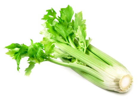 fresh leaves and stems of celery isolated on white background