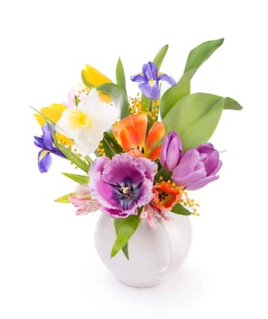 spring flowers isolated on a white background