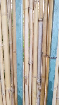 outdoor fence made of bamboo and metal, objects. High quality photo