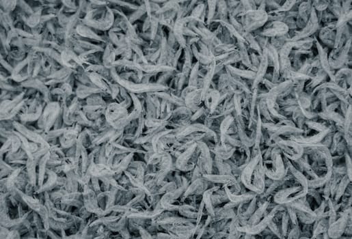 Plenty of dry shrimp background market for sell. Close-up pile texture detail bright light pink pale tone.