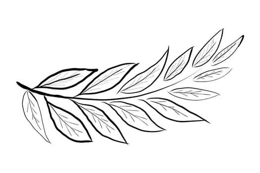 Leaves hand drawn. Line art. On a white background. Isolate