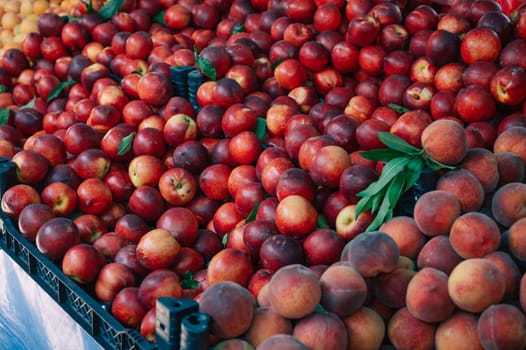 Nectarine sale in the traditional farm Turkish market, a counter filled with fresh fruits