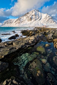 Beach of Norwegian sea on rocky coast in fjord on sunset in winter. Vareid beach, Lofoten islands, Norway