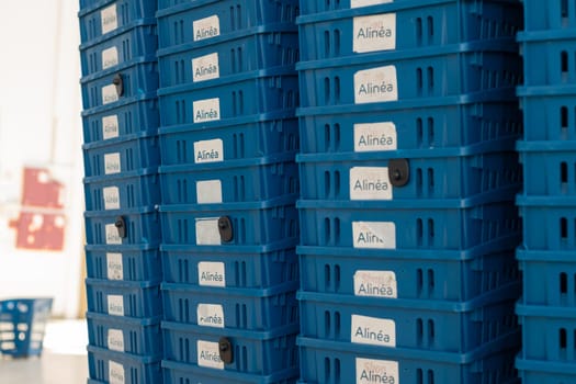 ROUEN, FRANCE - MAY 20, 2020: Plastic empty trolley are in a row in the store ALINEA