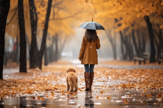 young woman walking her dog in the park in rainy autumn day, sun shines, AI Generated