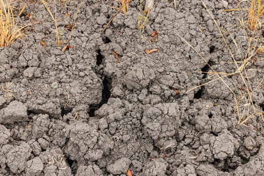 Cracks in dry soil of agricultural field due to drought in hot summer, Germany, Europe