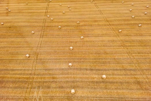 Aerial view of many straw bales on an agricultural field in dry summer, Germany