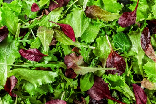 Green and red leaves salad, closeup detail from above.