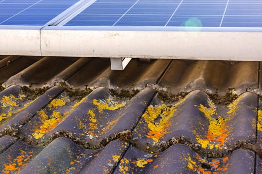 Roof tiles contaminated by moss and lichen underneath solar panels of a PV system on a house roof