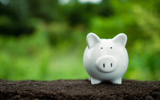 White piggy bank on nature background. Concept of savings and investment.