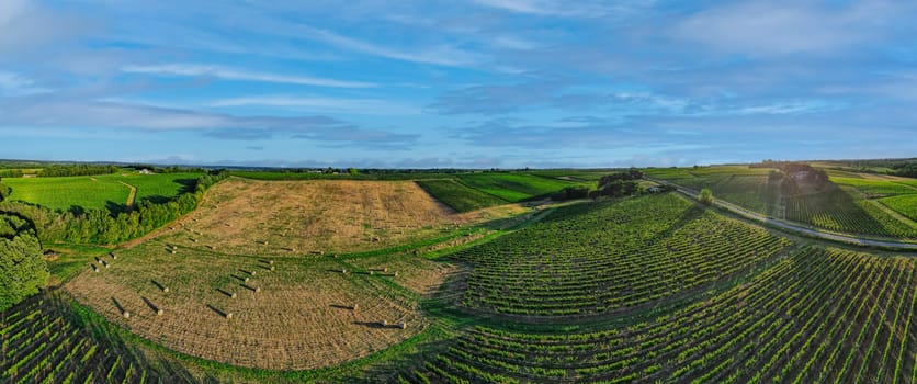Aerial view Bordeaux Vineyard and forage fields with bales of hay in summer at sunrise, film by drone in summer, Entre deux mers, High quality photo