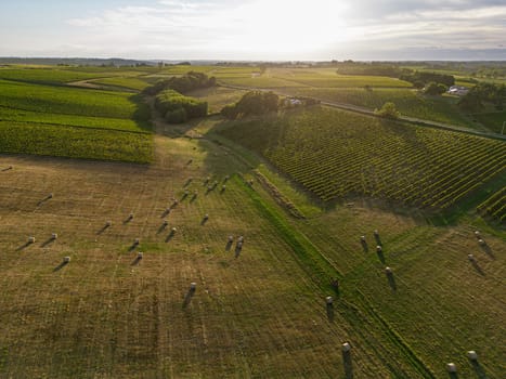 Aerial view Bordeaux Vineyard and forage fields with bales of hay in summer at sunrise, film by drone in summer, Entre deux mers, High quality photo