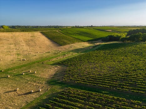 Aerial view Bordeaux Vineyard and forage fields with bales of hay in summer at sunrise, film by drone in summer, Entre deux mers, High quality photo