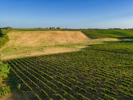 Aerial view Bordeaux Vineyard and forage fields with bales of hay in summer at sunrise, film by drone in summer, Entre deux mers, High quality photo