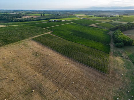 Aerial view Bordeaux Vineyard and forage fields with bales of hay in summer at sunrise, film by drone in summer, Entre deux mers, High quality photo