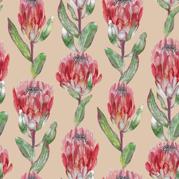 Seamless pattern with vertical protea flowers painted in watercolor on a beige background for summer textiles and wall design