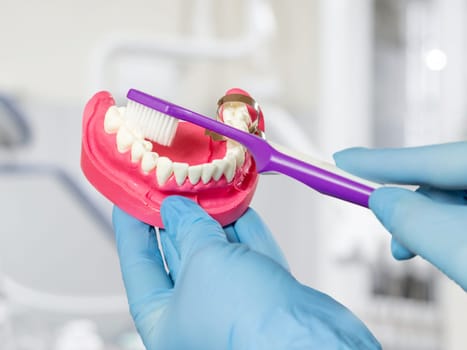 Close-up view of a dentist's hand with a human jaw layout and a toothbrush. Dental office on the background.