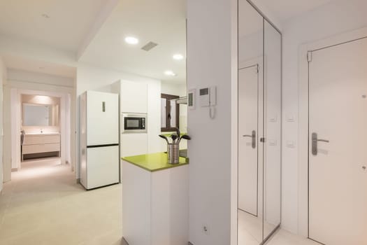 View from the corridor to the apartment divided into zones of the hallway kitchen and living room with a toilet in light minimalistic colors. The concept of a simple but thoughtful interior design.