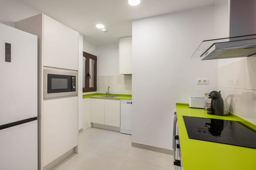 Spacious green and white kitchen design and high-tech appliances for easy use. The concept of high-tech minimal style in the home interior.