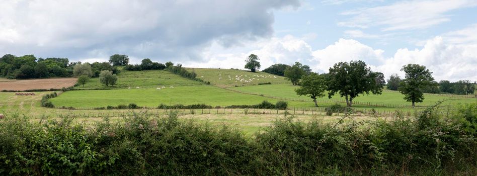 burgundy countryside landscape of french morvan with green grassy fields and forests under blue sky with clouds