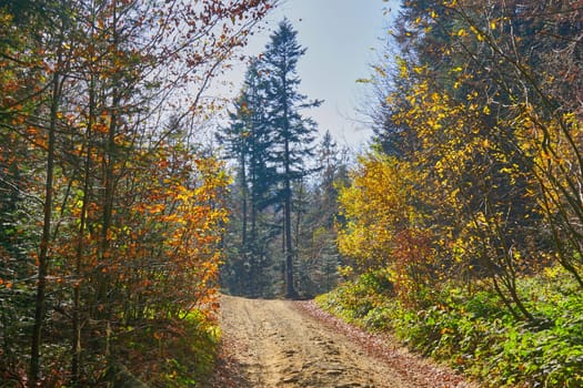 Autumn is one of the four temperate seasons. Outside the tropics, autumn marks the transition from summer to winter